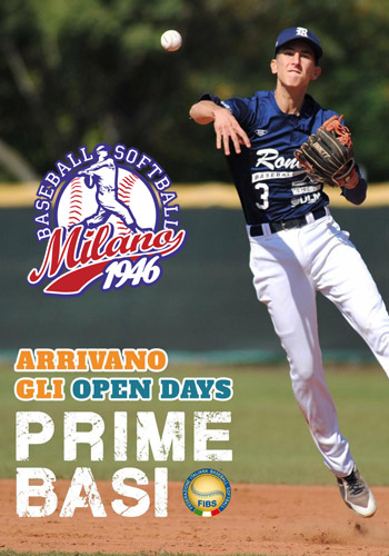 Set Basi Baseball E Softball 5 Pezzi In Gomma, Con 5 Palline Da Allenamento E Borsa – Per Bambini E Adulti, Allenamento In Cortile E Scuola - 3